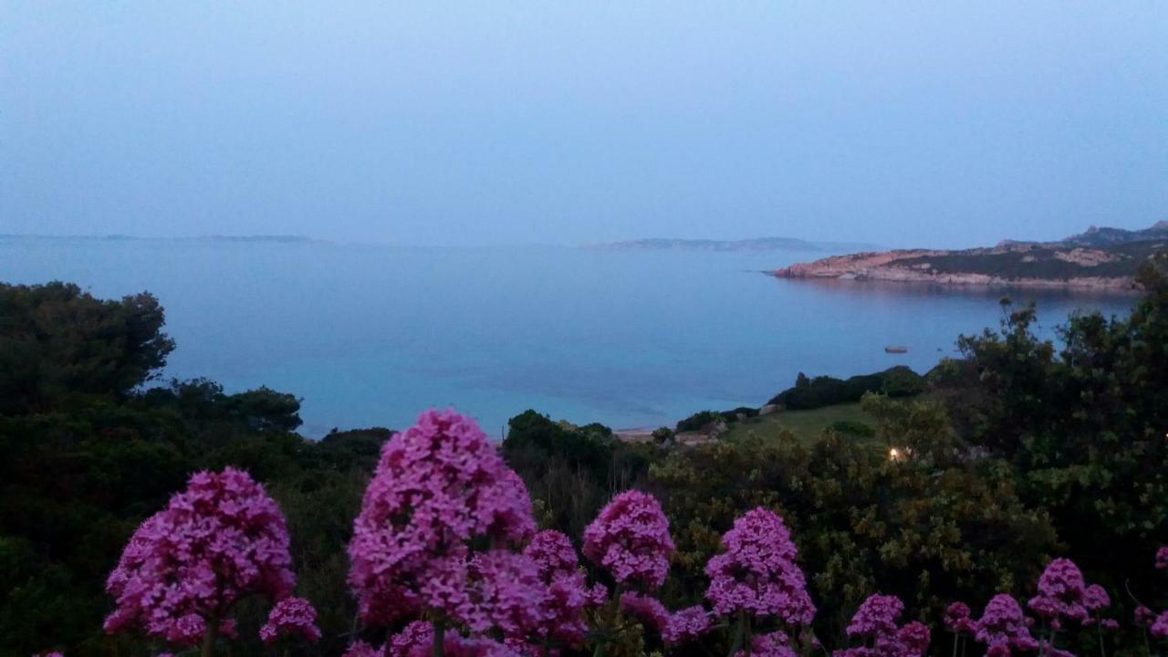 Appartamento Fronte Mare サンタ・テレーザ・ガッルーラ エクステリア 写真